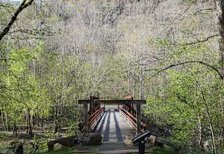 Camping In Kentucky The 30 Best Campgrounds Hipcamp