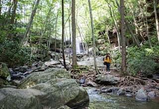 Camping In Pennsylvania The 30 Best Campgrounds Hipcamp