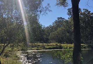 Camping In Queensland The 20 Best Campgrounds Hipcamp