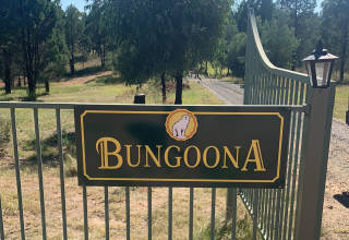 Bungoona Bush Camping