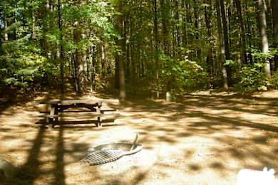 National Forests In Wisconsin Best Campgrounds Hipcamp