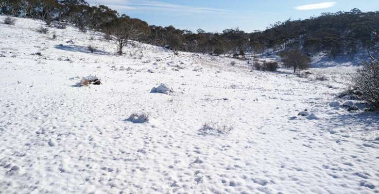 The 20 Best Campgrounds Near Jindabyne New South Wales