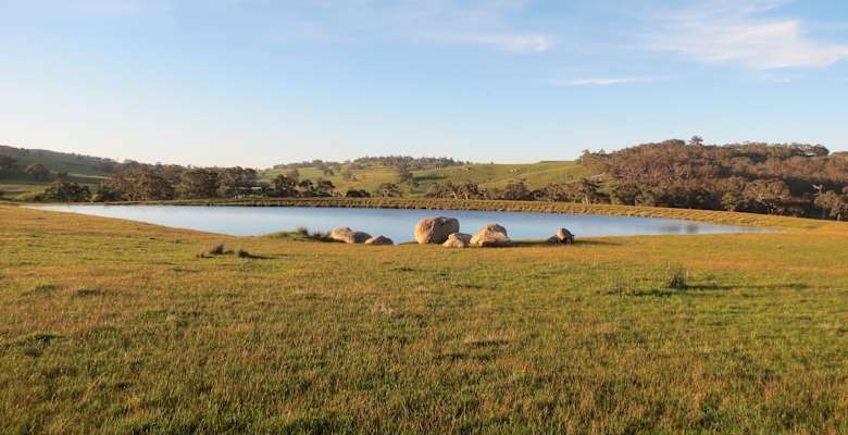 Picture of the land