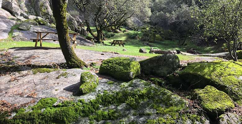 Picture of the land