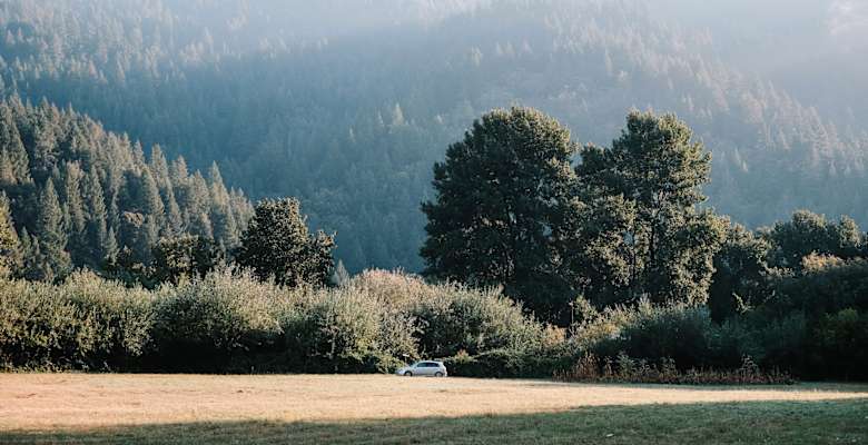 Picture of the land