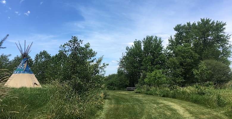Picture of the land