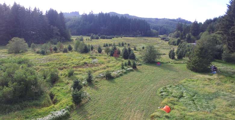 Picture of the land