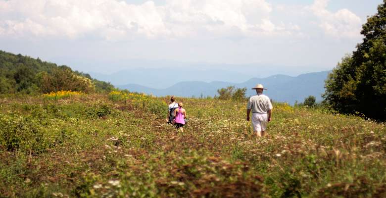 Picture of the land