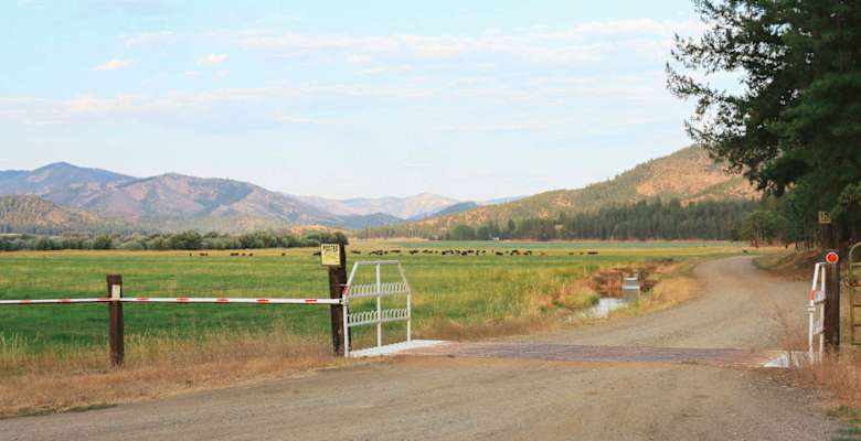 Sis Q Ranch Camping