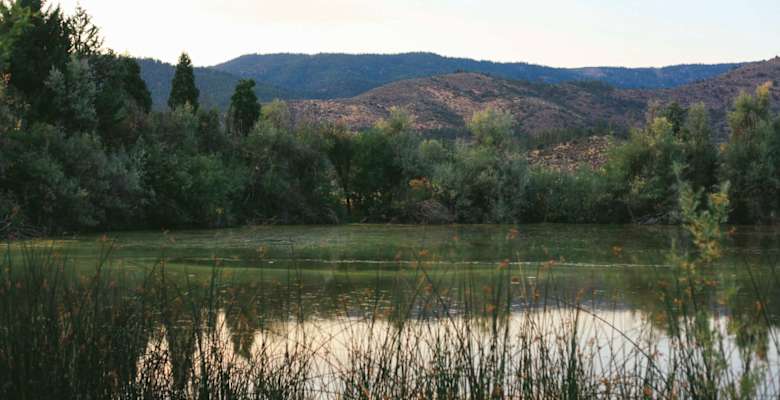 Sis Q Ranch Camping