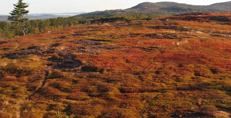 Picture of the land