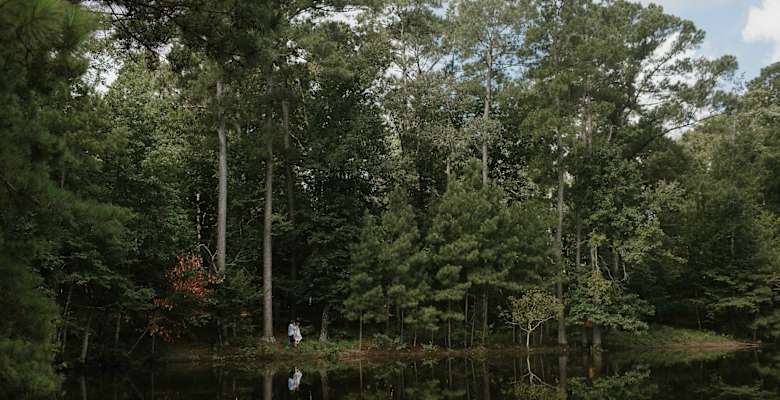 Picture of the land