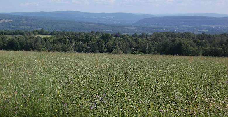 Picture of the land