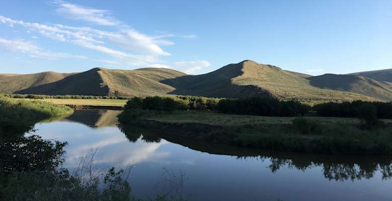 Picture of the land