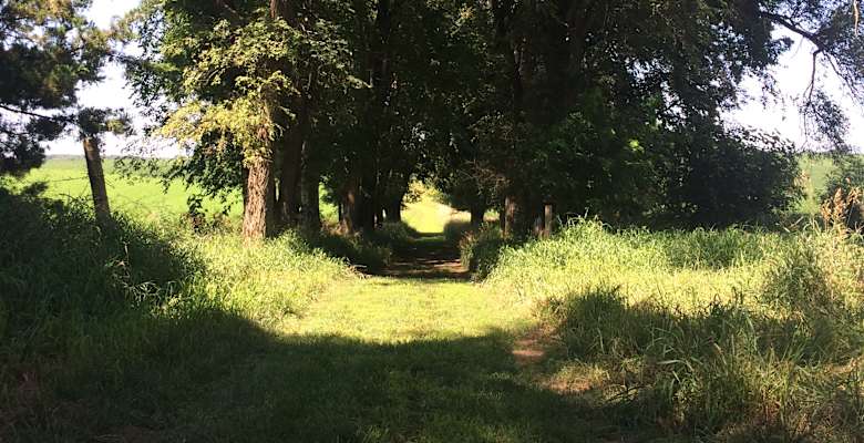 The 30 Best Campgrounds Near Storm Lake Iowa