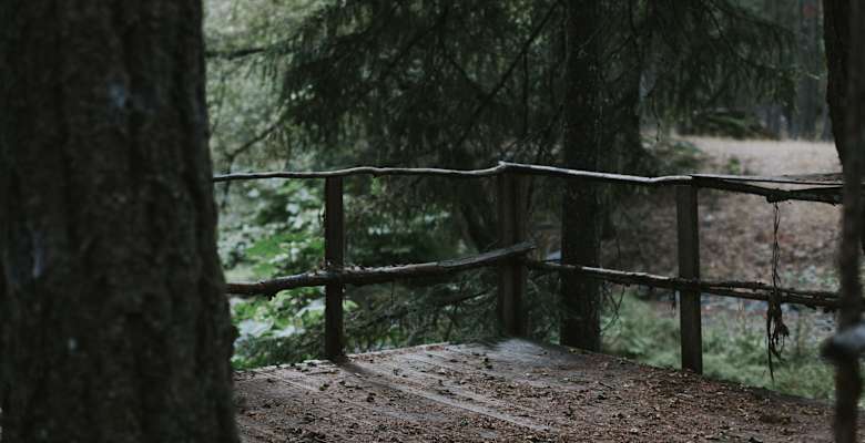 The 30 Best Campgrounds Near Shasta Lake California