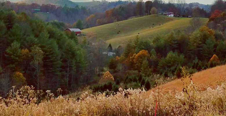 Picture of the land