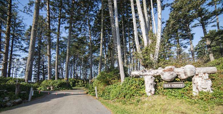 The 30 Best Campgrounds Near Moclips Washington