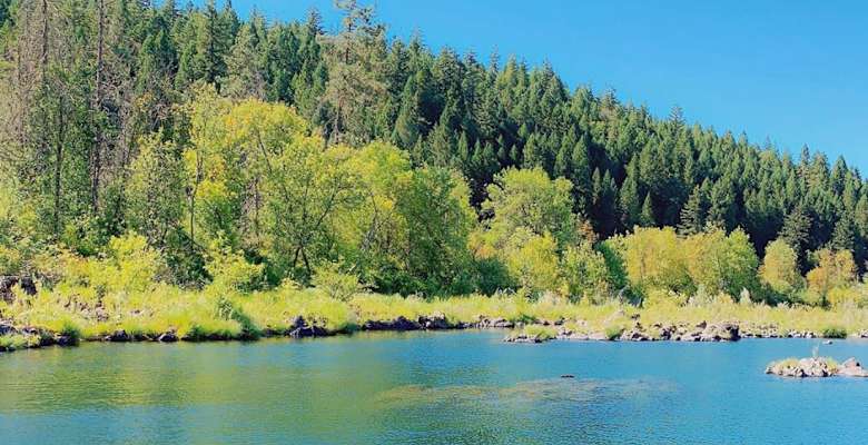 The 30 Best Campgrounds Near Grants Pass Oregon