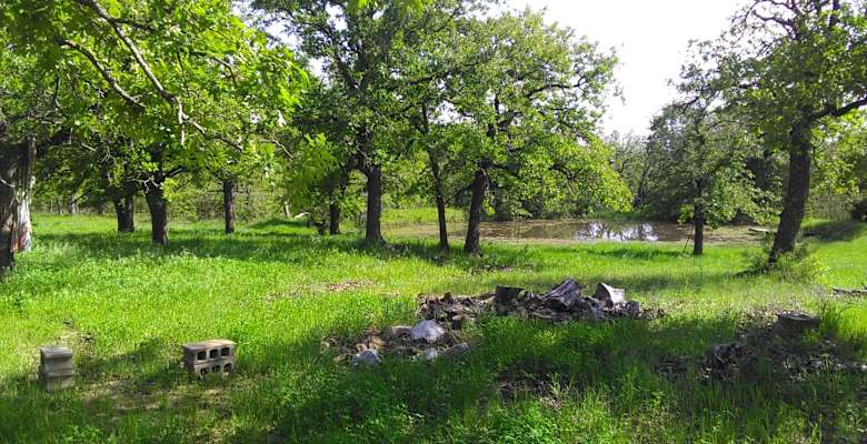 Best Camping In And Near Chickasaw National Recreation Area