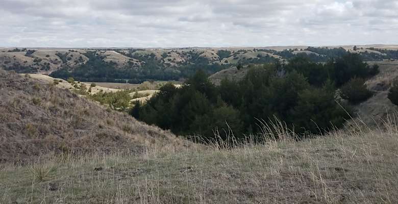 Picture of the land