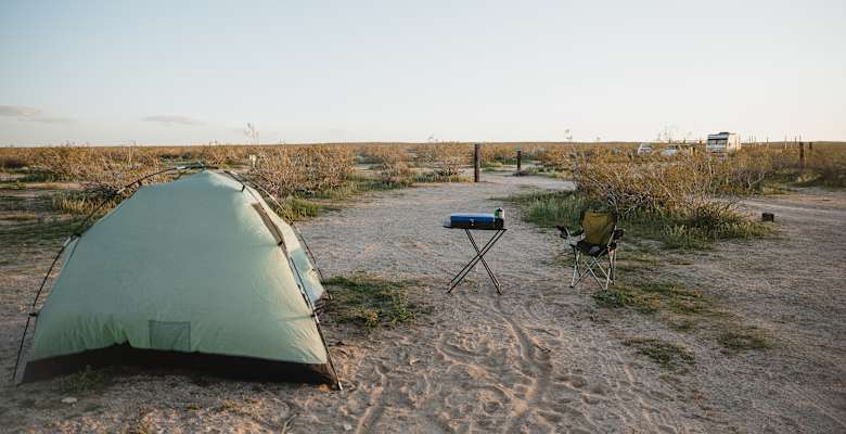 Night Jar Oasis Camping