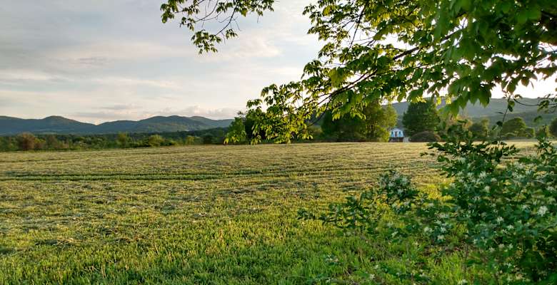 Picture of the land