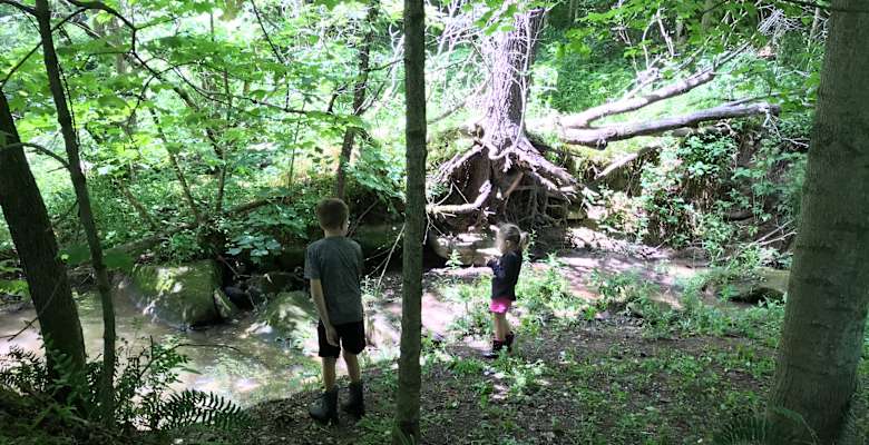 The 30 Best Campgrounds Near Apple Creek Ohio