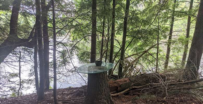 The 30 Best Campgrounds Near Marshfield Wisconsin
