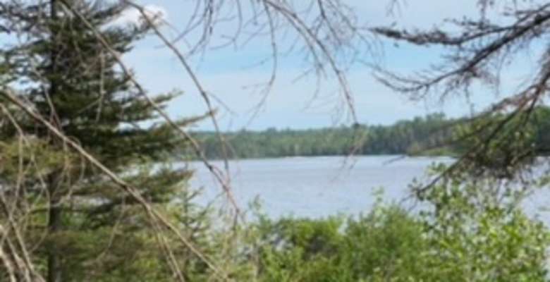 Best Camping In And Near Bewabic State Park
