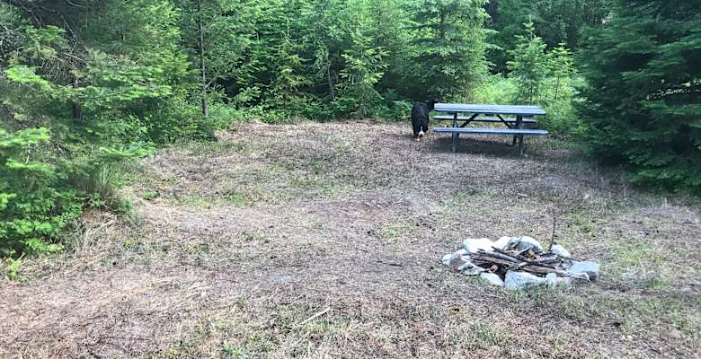 Best Camping In And Near Flathead National Forest