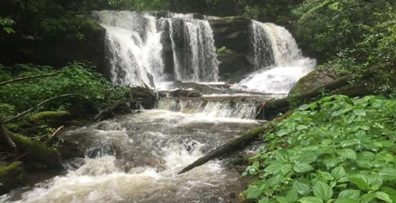 Picture of the land