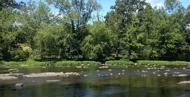 The 30 Best Campgrounds Near Greenwood Lake New York