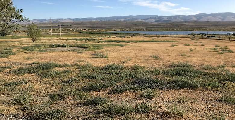 The 30 Best Campgrounds Near Lander Wyoming