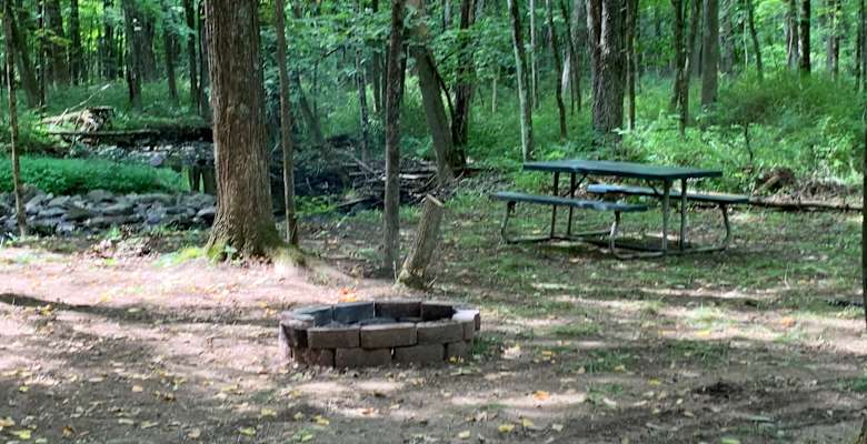 Wawayanda State Park Camping Reservations : Camping In The Catskills Official Catskills Region Website : They have plenty of parking at this park and you can drive right up to the lake where they have a little sanded beach area.