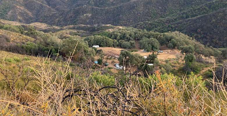 Picture of the land