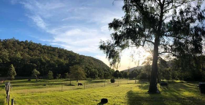 Picture of the land