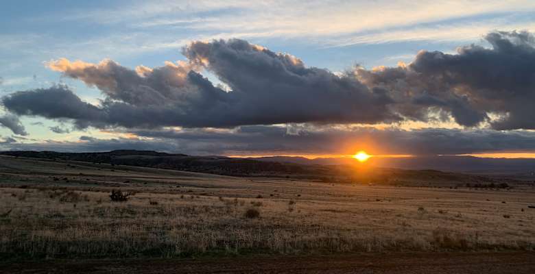 Picture of the land