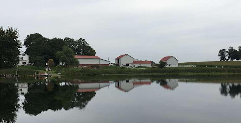 Picture of the land