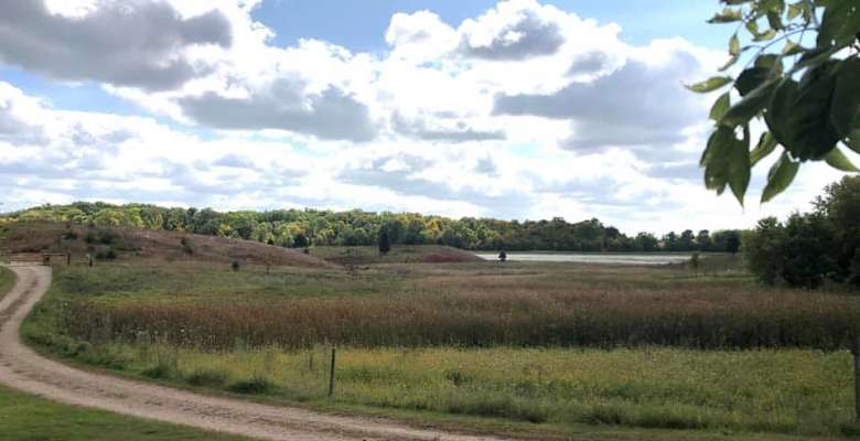 Picture of the land