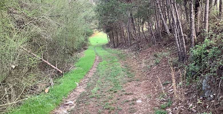 Picture of the land