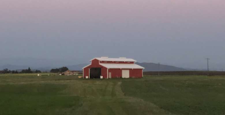 Picture of the land