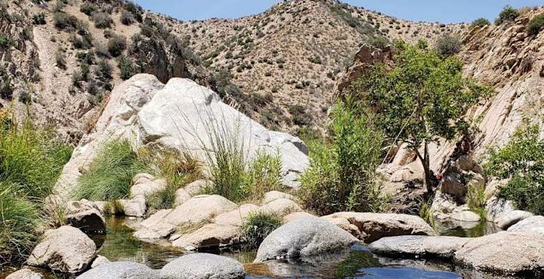 Picture of the land