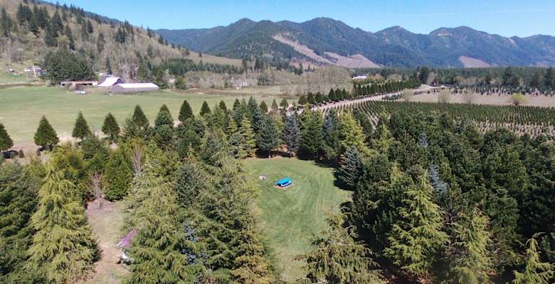 Picture of the land