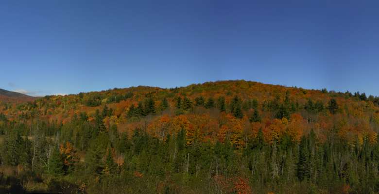 Picture of the land