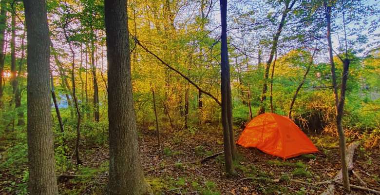 The 23 Best Beach Campgrounds In Maryland