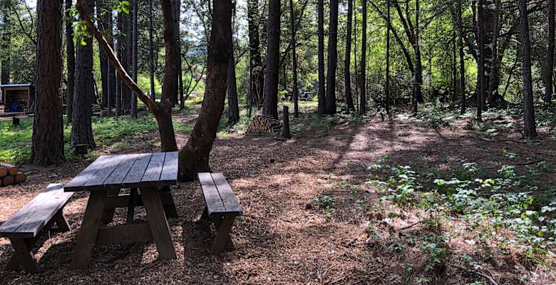 Picture of the land