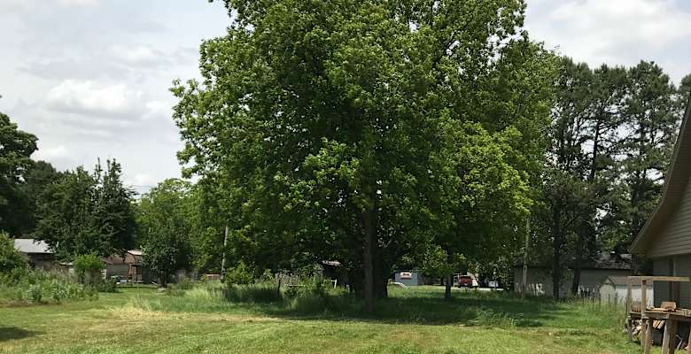 Picture of the land