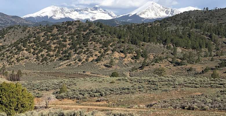 Picture of the land
