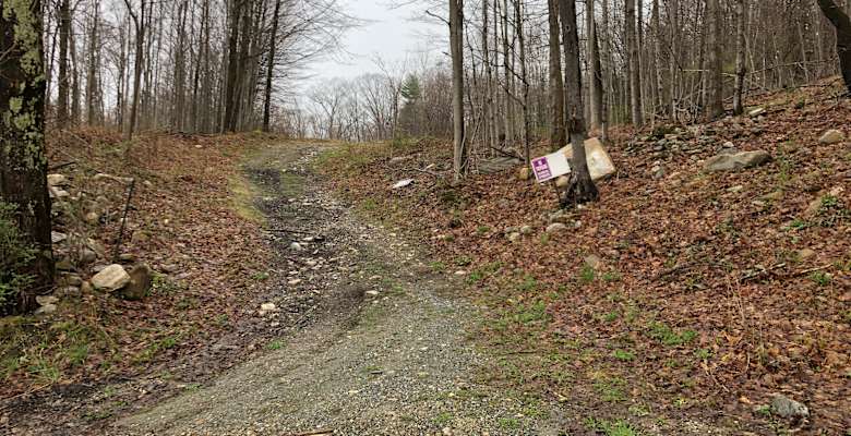Picture of the land